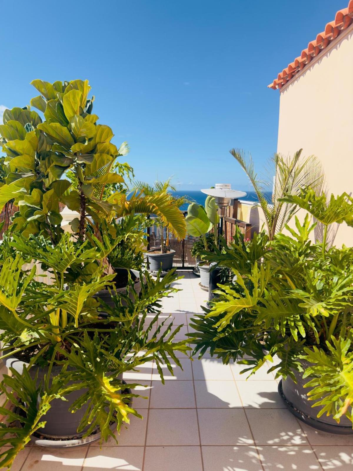 Apartment Gigantes Buenavista Ocean View Swimming Pool - Ac Acantilado de los Gigantes